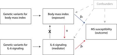 Body Mass Index, Interleukin-6 Signaling and Multiple Sclerosis: A Mendelian Randomization Study